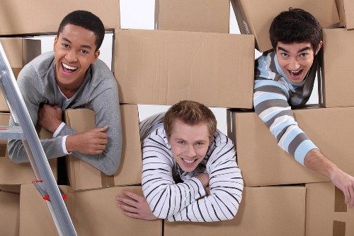 Careful furniture transport with a removal van in Docklands