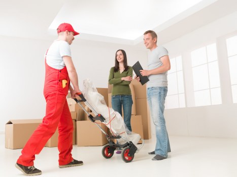 Professional removal van service handling items in Docklands